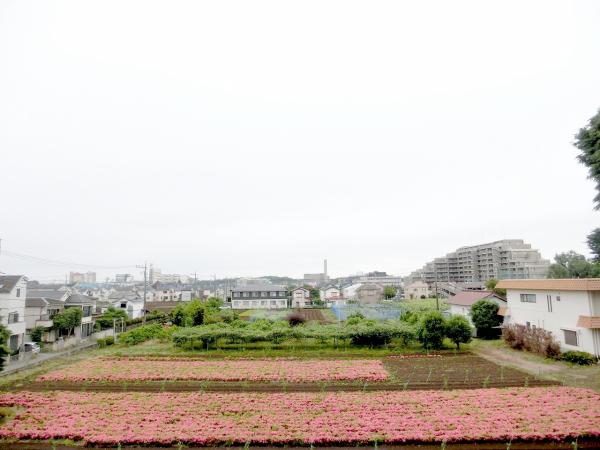 ハイホーム立川一番町 眺望
