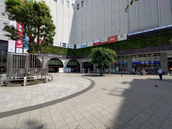 シンシア蒲田 その他