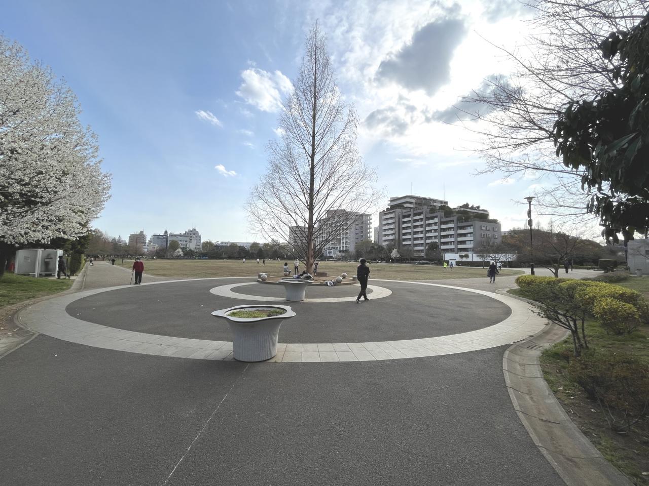 中古戸建 杉並区桃井2丁目 JR中央線荻窪駅 7,599万円