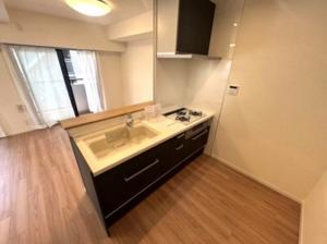 中古マンション 板橋区熊野町16－3 東武東上線下板橋駅 52990000