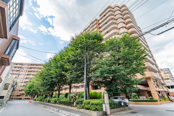 中古マンション 埼玉県さいたま市大宮区土手町1丁目 JR京浜東北線大宮駅 3,680万円