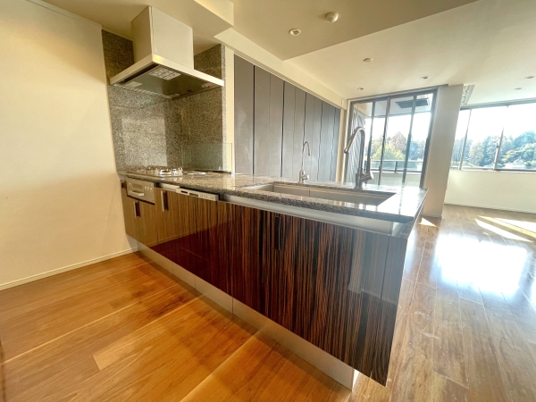 中古マンション 東京都新宿区南元町 JR中央・総武線信濃町駅 1億9,000万円