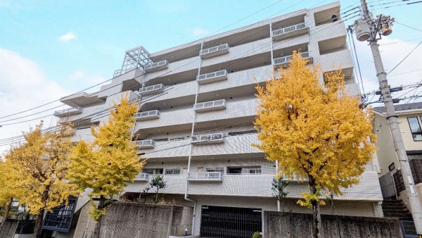 中古マンション 兵庫県芦屋市東山町 JR東海道本線（米原〜神戸）芦屋駅 1,950万円
