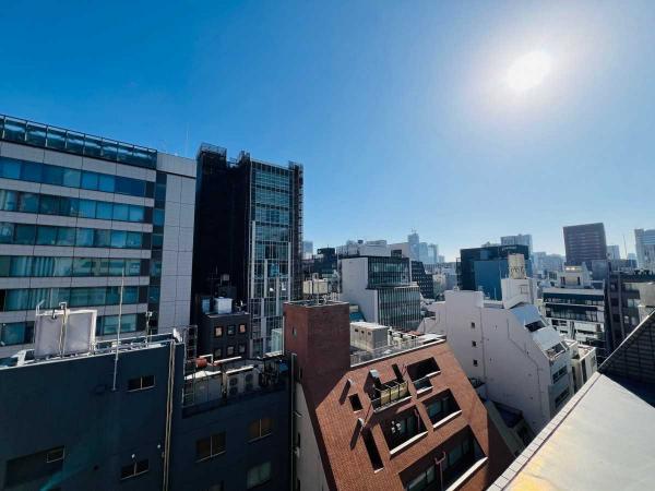 中古マンション 東京都港区西新橋１丁目 銀座線虎ノ門駅 1億6,000万円