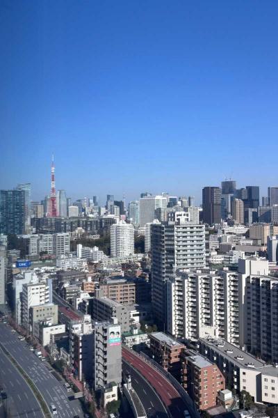 白金ザ・スカイEAST棟 外観写真