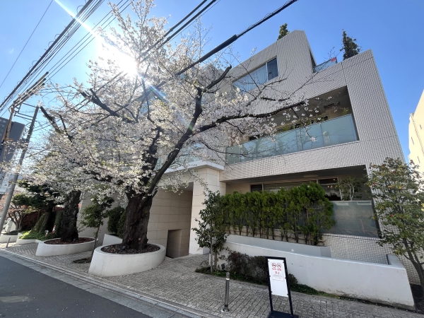 中古マンション 東京都渋谷区神宮前５丁目 半蔵門線渋谷駅 3億3,800万円