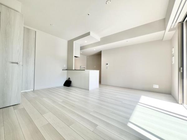 中古マンション 大阪市北区中津１丁目 大阪メトロ御堂筋線中津駅 1億1,800万円