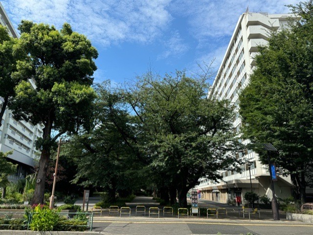 中古戸建 新宿区新宿7丁目 都営大江戸線若松河田駅 2,980万円