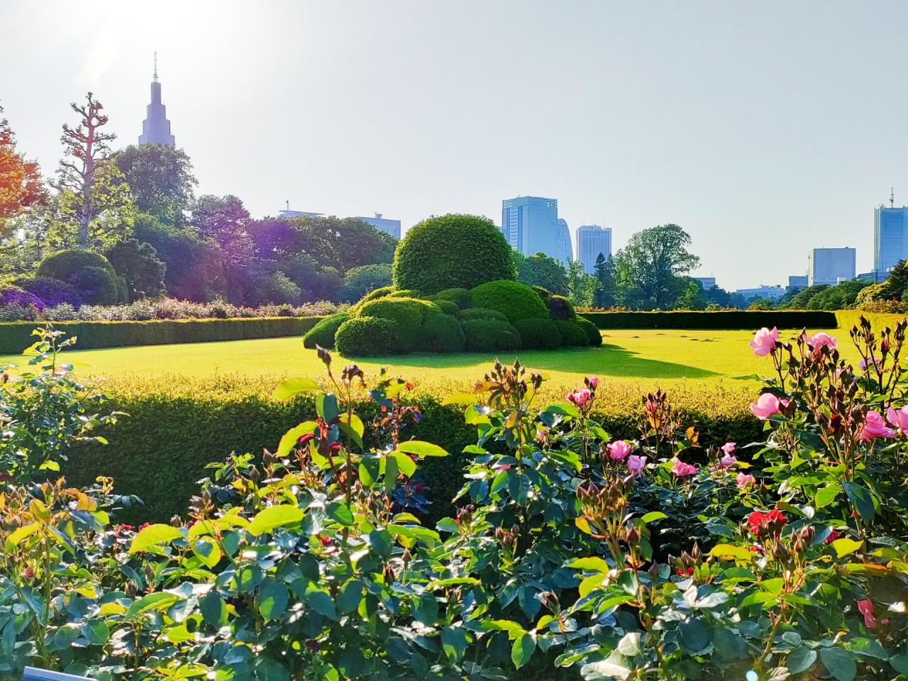 中古戸建 新宿区新宿7丁目 都営大江戸線若松河田駅 2,980万円