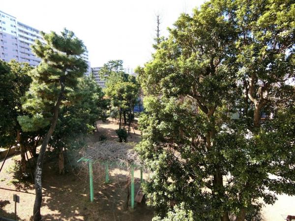 中古マンション 江東区南砂5丁目 東西線南砂町駅 1億1,980万円