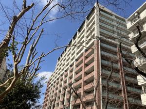 中古マンション 東京都小平市花小金井南町１丁目 西武西武園線花小金井駅 69800000
