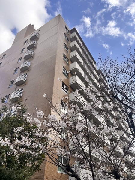 中古マンション 東京都江東区木場３丁目 東西線木場駅 4,799万円