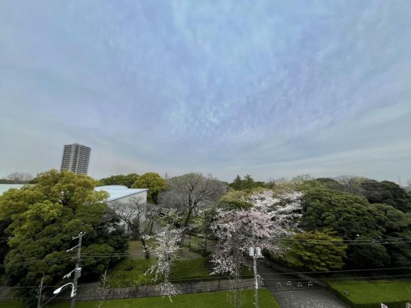 中古マンション 北区西ケ原2丁目 JR京浜東北線王子駅 5,299万円