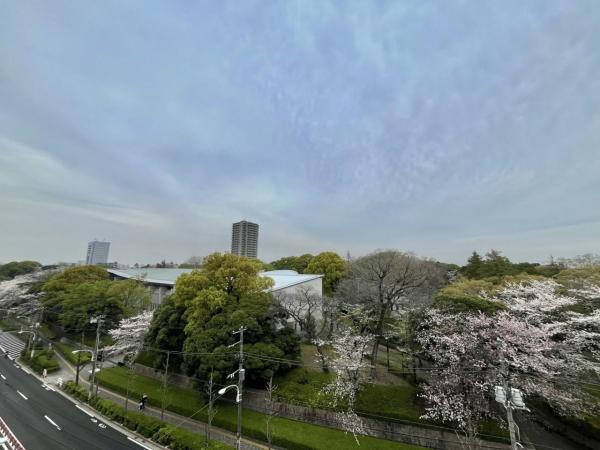 中古マンション 北区西ケ原2丁目 JR京浜東北線王子駅 5,299万円