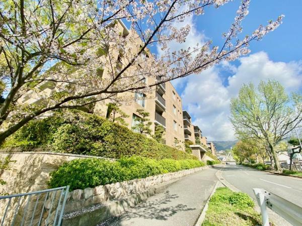 中古マンション 神戸市東灘区住吉本町３丁目 JR東海道本線（米原〜神戸）住吉駅 1億8,000万円
