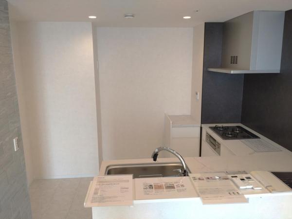 中古マンション 川崎市中原区中丸子 JR埼京線武蔵小杉駅 1億8,580万円