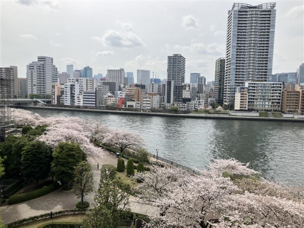 中古マンション 東京都中央区佃１丁目 有楽町線月島駅 5,980万円