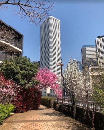 中古マンション 新宿区西新宿5丁目 都営大江戸線西新宿五丁目駅 1億8,900万円