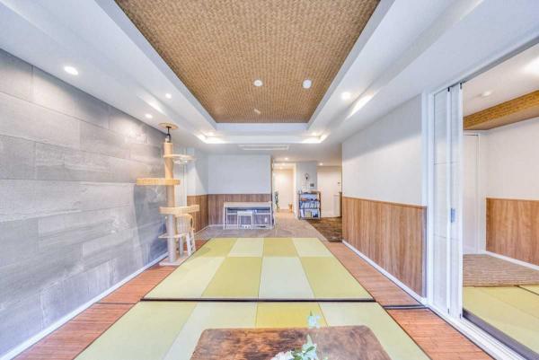 中古マンション 東京都渋谷区代々木５丁目 小田急線代々木八幡駅 2億2,800万円