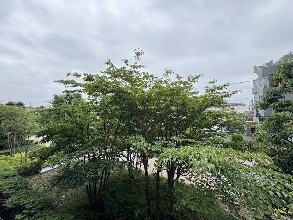 中古マンション 板橋区前野町2丁目 東武東上線ときわ台駅 8,150万円