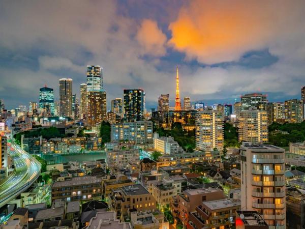 中古マンション 東京都港区三田５丁目 南北線麻布十番駅 5億5,000万円