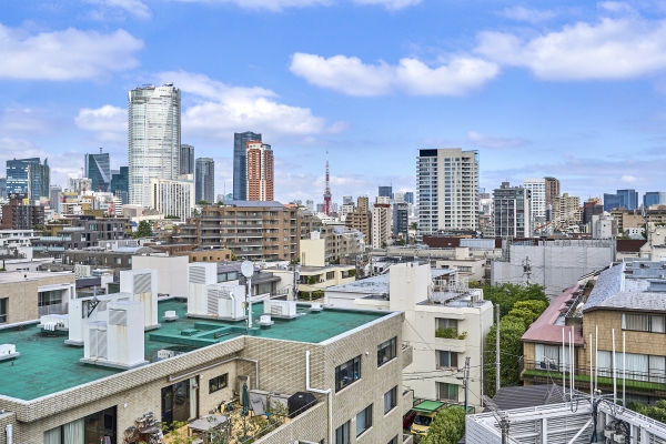 中古マンション 東京都港区西麻布４丁目 日比谷線広尾駅 4億7,800万円