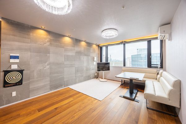 中古マンション 東京都千代田区内神田１丁目 丸の内線大手町駅 3億1,400万円