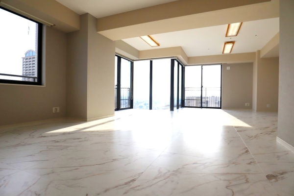 中古マンション 大阪府大阪市阿倍野区阿倍野筋1丁目 大阪メトロ御堂筋線天王寺駅 2億4,600万円