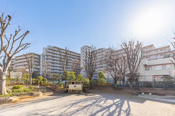 中古マンション 東京都板橋区徳丸１丁目 東武東上線東武練馬駅 5,498万円