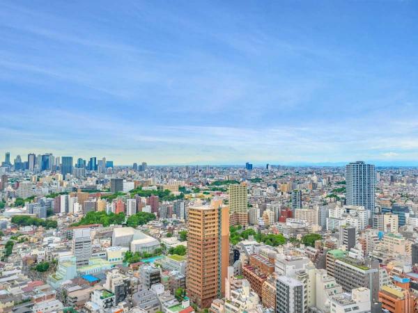 新築マンション 東京都豊島区南池袋２丁目 有楽町線東池袋駅 3億2,800万円