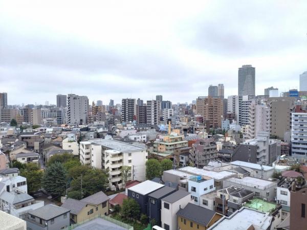 サンクレイドルレヴィール池袋 眺望