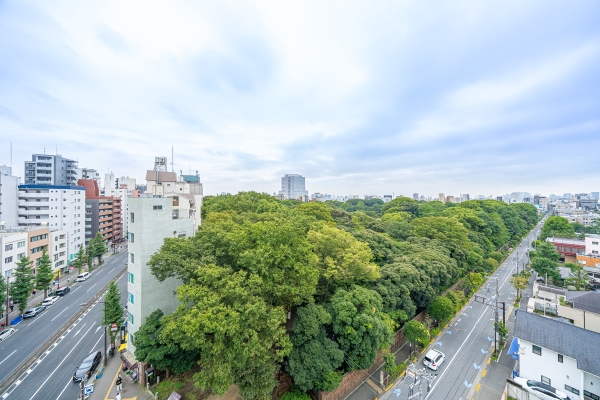 中古マンション 東京都豊島区駒込１丁目 JR山手線駒込駅 1億7,000万円