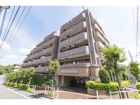 中古マンション 東京都板橋区徳丸６丁目 東武東上線東武練馬駅 3,580万円