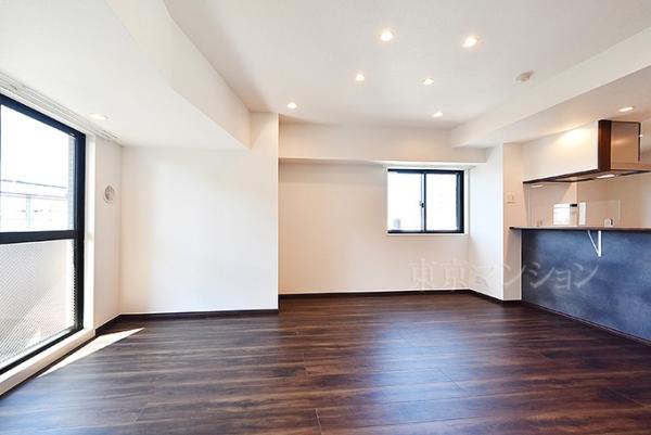 カテリーナ石神井公園 リビング