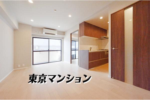 フラッツ池袋 リビング