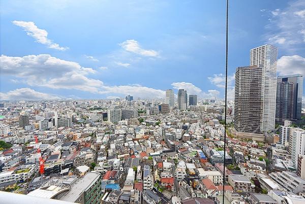 シティタワー新宿新都心 眺望