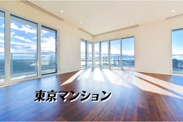 中古マンション 江東区有明２丁目1-3 ゆりかもめ有明駅 2億9,800万円