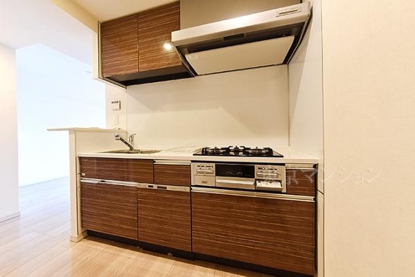 パレステージ光が丘ナチュラコート キッチン