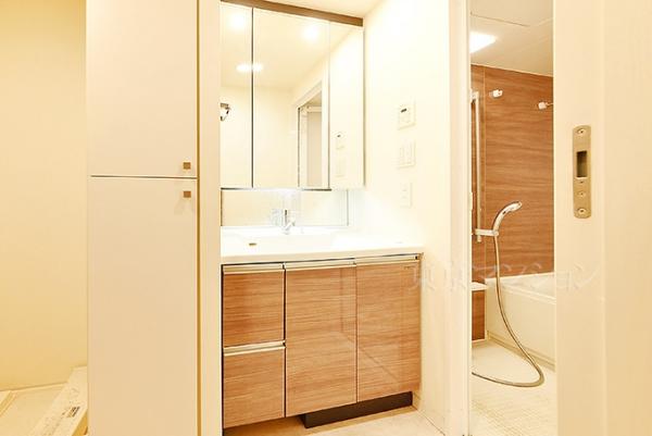 パレステージ光が丘ナチュラコート 洗面化粧台