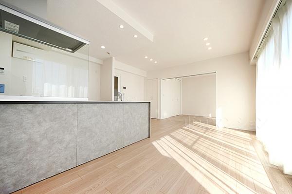 テラス久我山 リビング