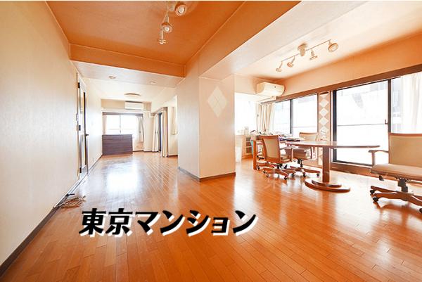 中古マンション 新宿区南山伏町 都営大江戸線牛込神楽坂駅 2億1,500万円