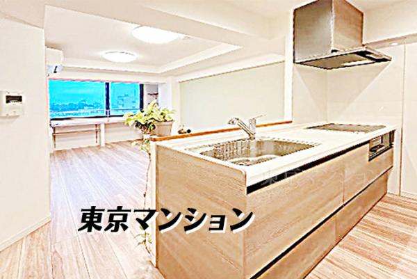 中古マンション 台東区谷中１丁目5-11 千代田線根津駅 7,280万円