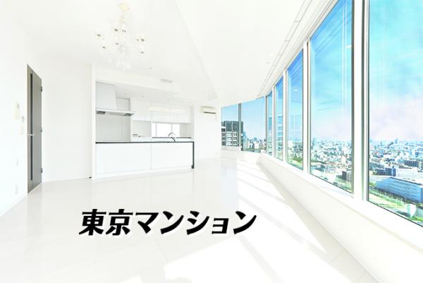 中古マンション 江東区豊洲３丁目6-5 有楽町線豊洲駅 1億7,990万円