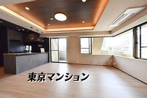 中古マンション 港区白金１丁目25-18 南北線白金高輪駅 219000000