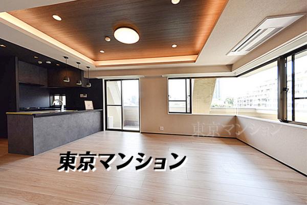 中古マンション 港区白金１丁目25-18 南北線白金高輪駅 2億2,800万円