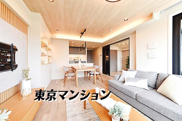 中古マンション 新宿区中落合１丁目 西武新宿線下落合駅 1億5,200万円