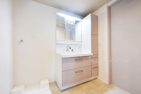 レーベンハイム下赤塚 洗面化粧台