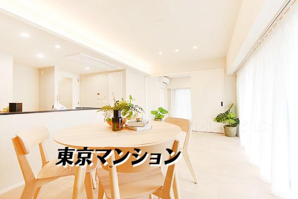 中古マンション 港区東新橋２丁目7-7 都営大江戸線汐留駅 1億7,380万円