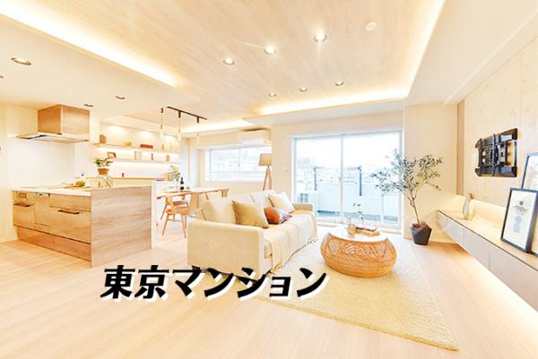 中古マンション 新宿区新宿７丁目 副都心線東新宿駅 1億2,800万円