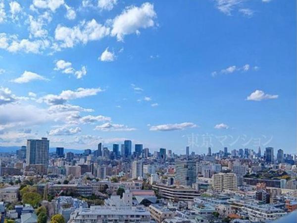 ザ・パークハウス白金二丁目タワー 眺望